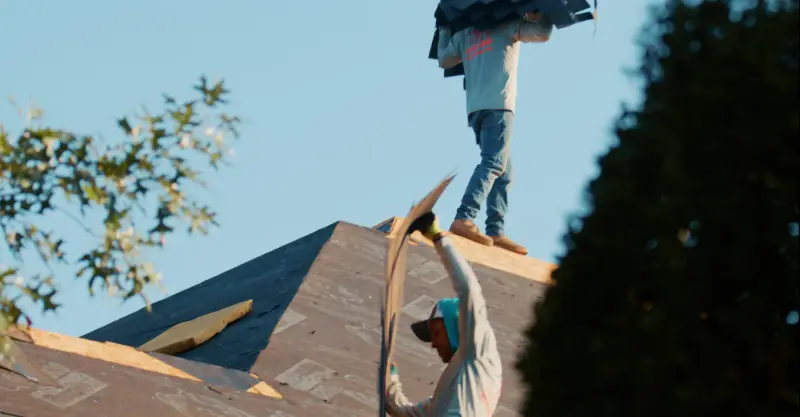 Two TDC roofers working on a roof stripped to bare plywood decking, one carrying shingles along the ridge